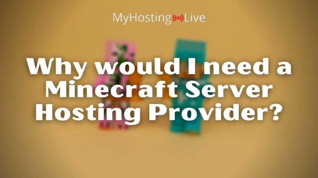 Why would I need a Minecraft Server Hosting Provider?