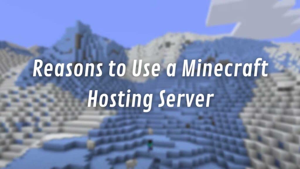 Reasons to Use a Minecraft Hosting Server