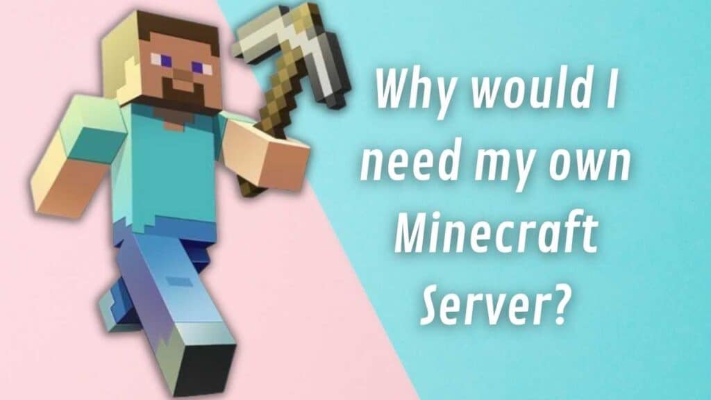 Why would I need my own Minecraft Server?